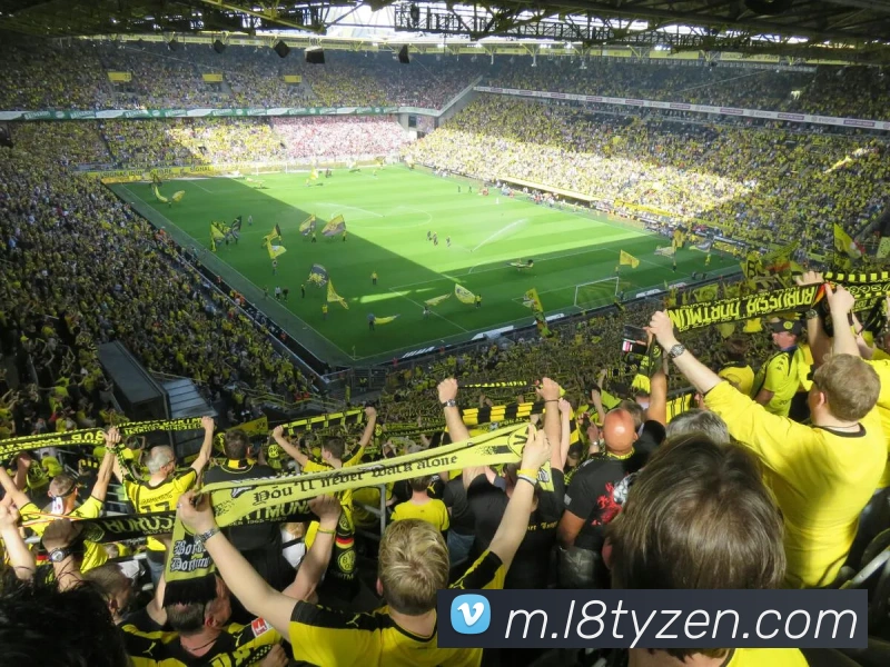 龙八体育平台生态图