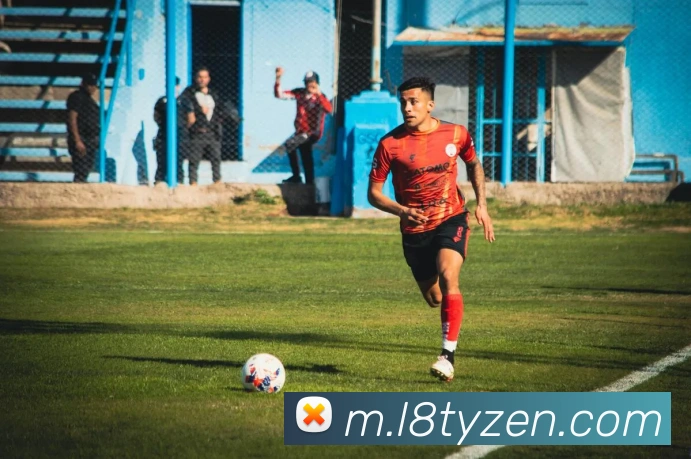 龙八体育APP 封面图